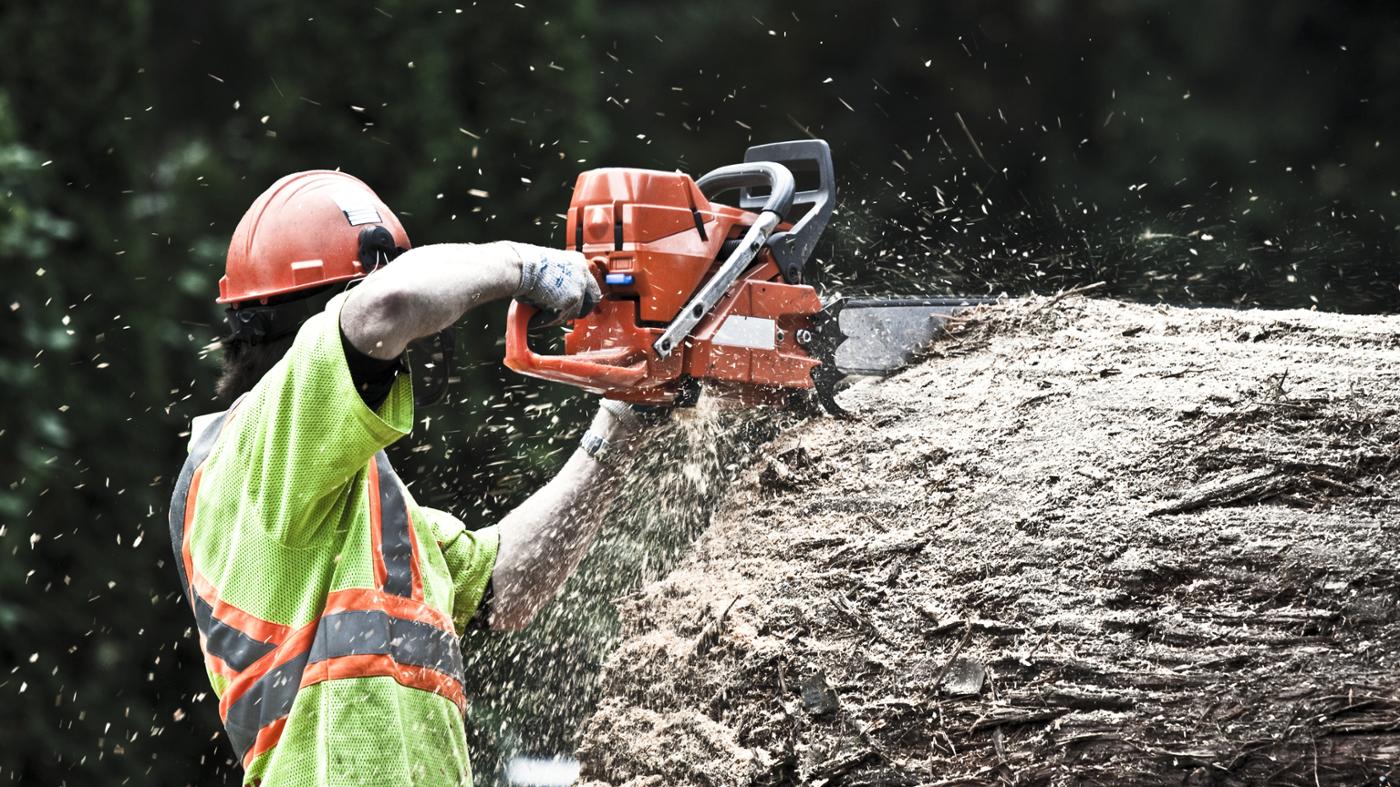 stihl chainsaw model number location